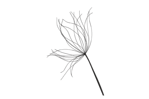 Reviewing Dandelion Seed Head for Embroidery